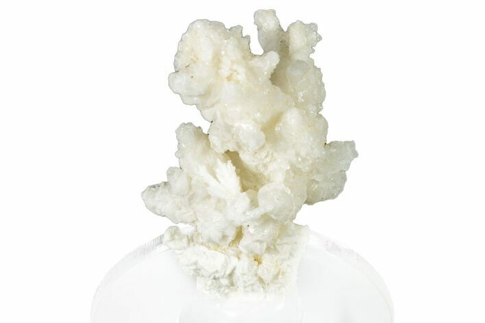 Intricate, Fluorescent Aragonite Formation - Nevada #295277